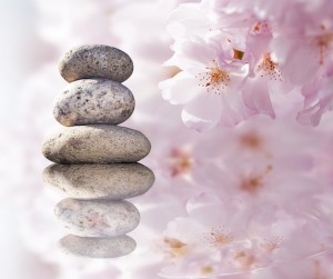 Home • The Healing Haven Homeopathic Dispensary